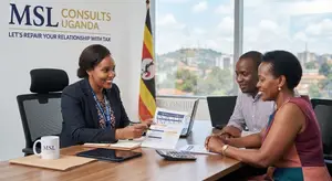 Tax Consultancy