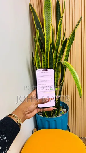 Apple iPhone 14 Pro Max 256 GB Blue