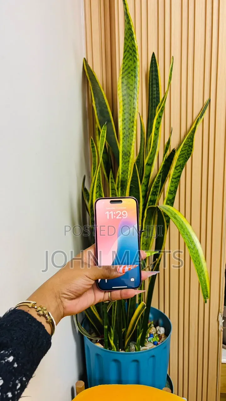 Apple iPhone 16 128 GB Pink
