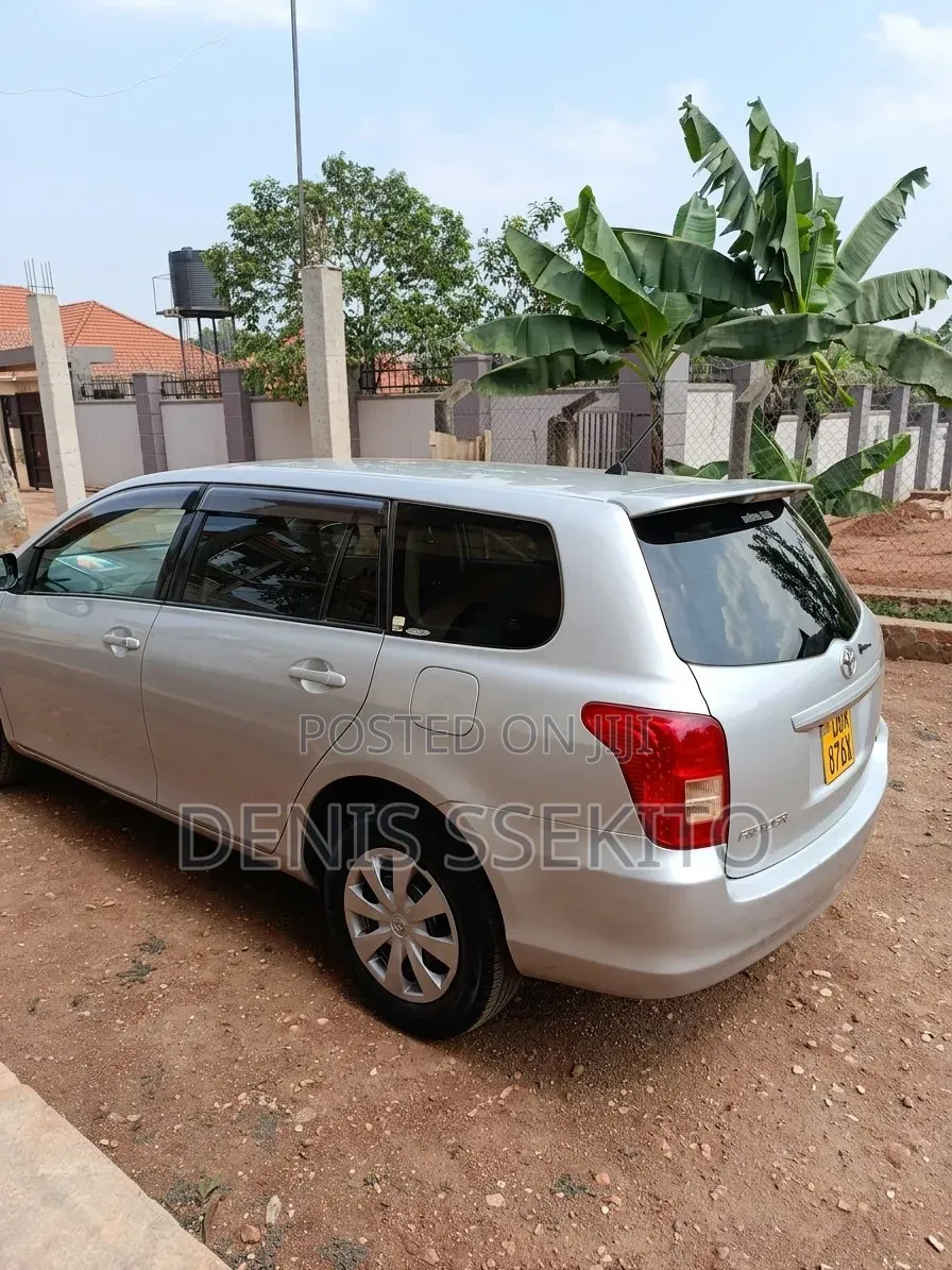 Toyota Corolla Fielder 2007 Silver