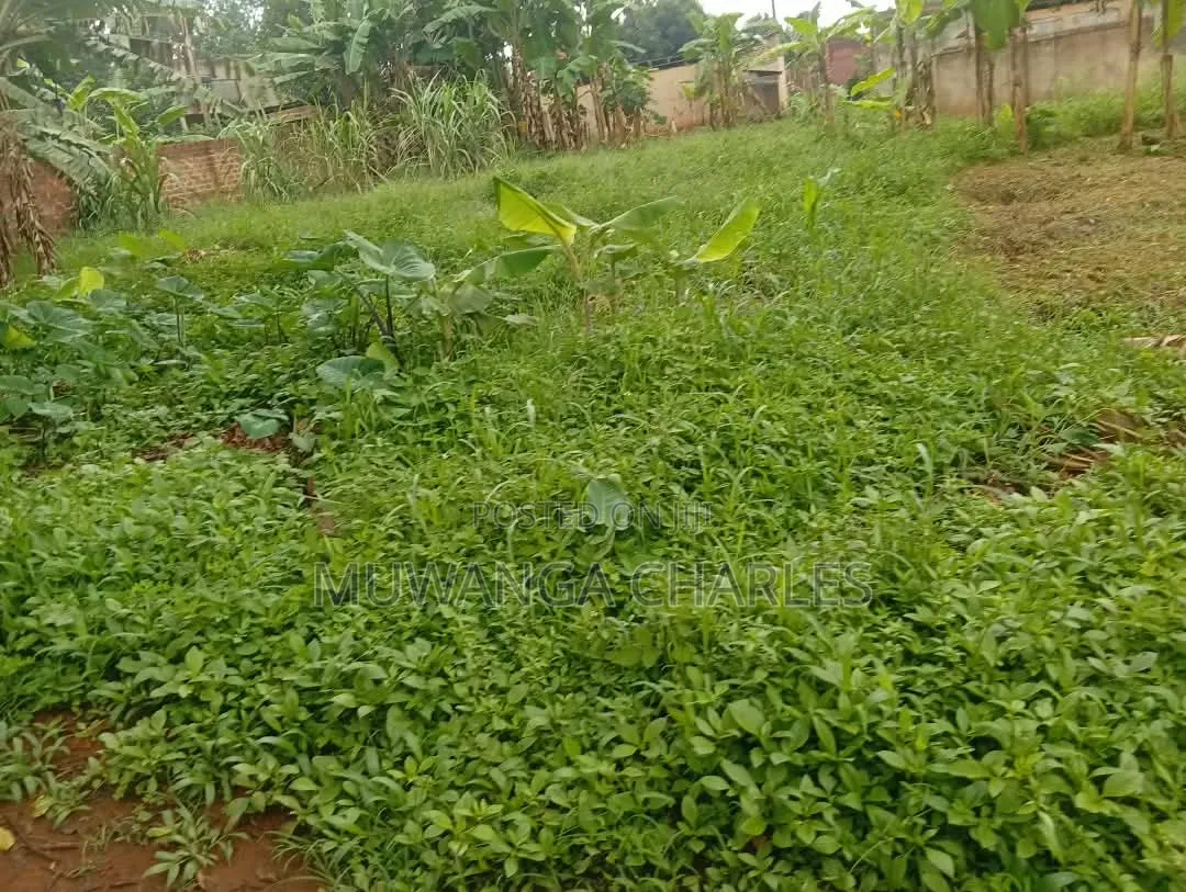 Plots Available to Sale at Gayaza Makenke
