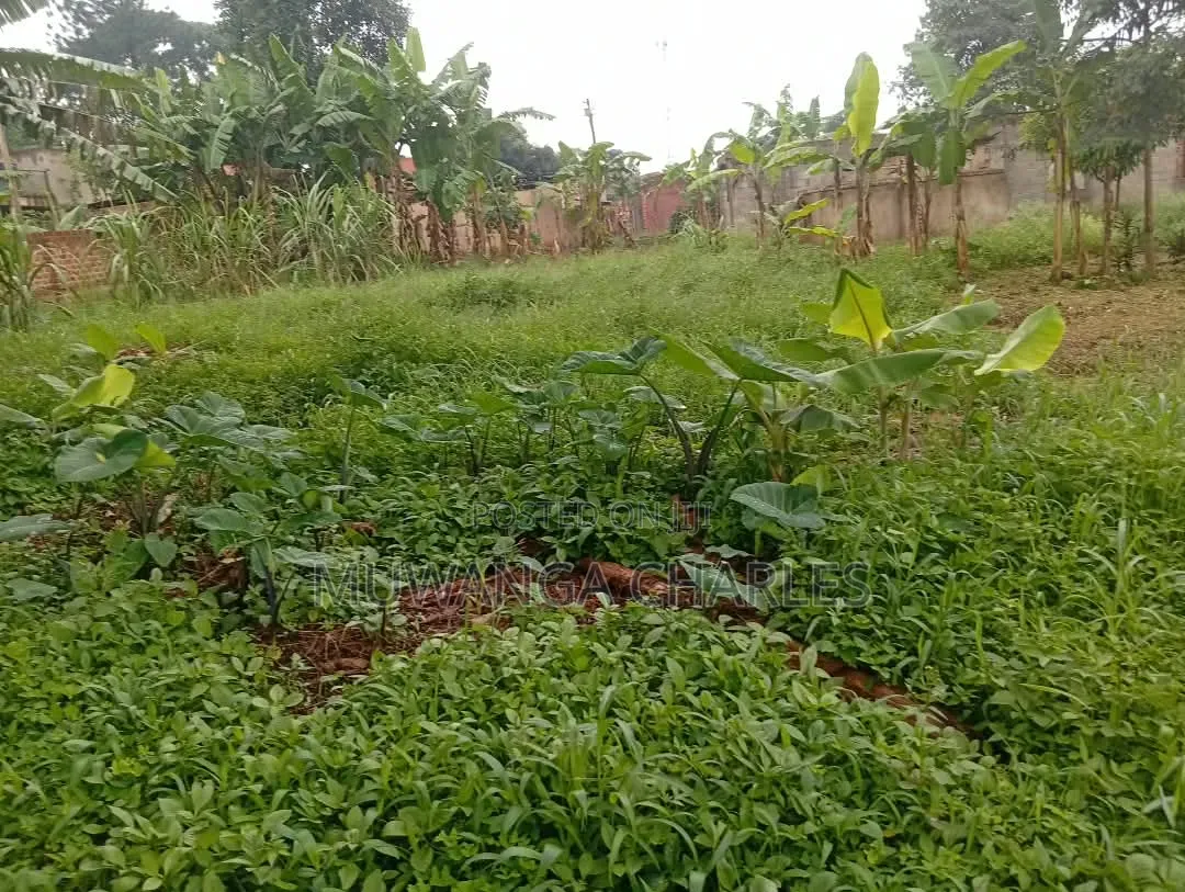 Plots Available to Sale at Gayaza Makenke