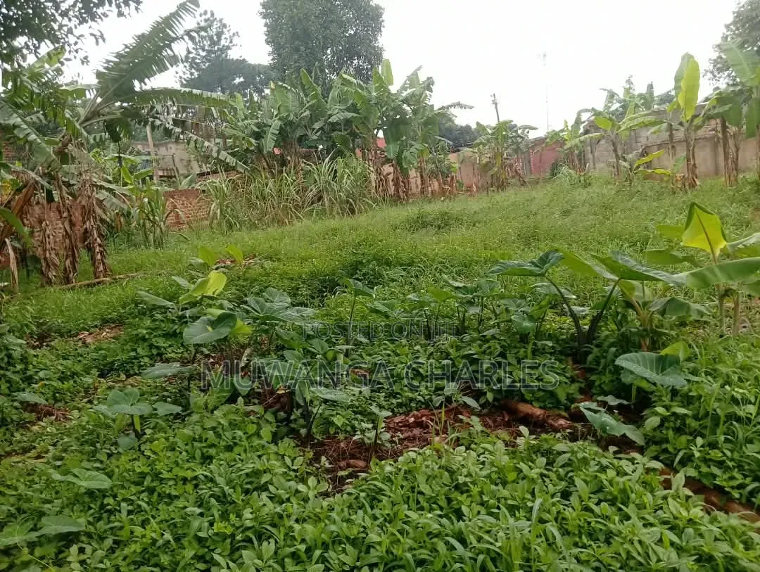 Plots Available to Sale at Gayaza Makenke