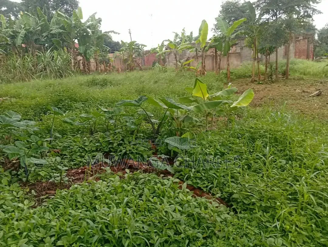 Plots Available to Sale at Gayaza Makenke