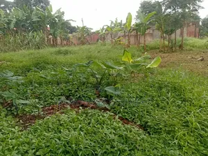 Plots Available to Sale at Gayaza Makenke