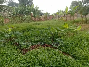 Plots Available to Sale at Gayaza Makenke