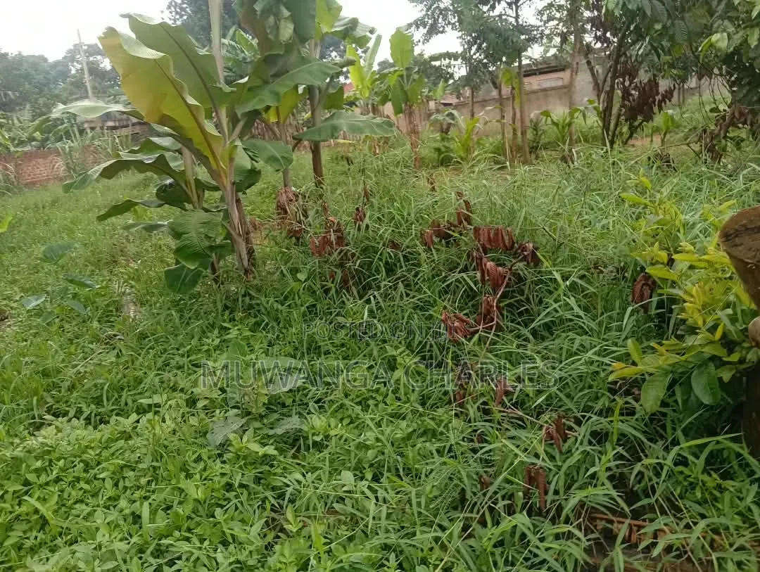Plots Available to Sale at Gayaza Makenke