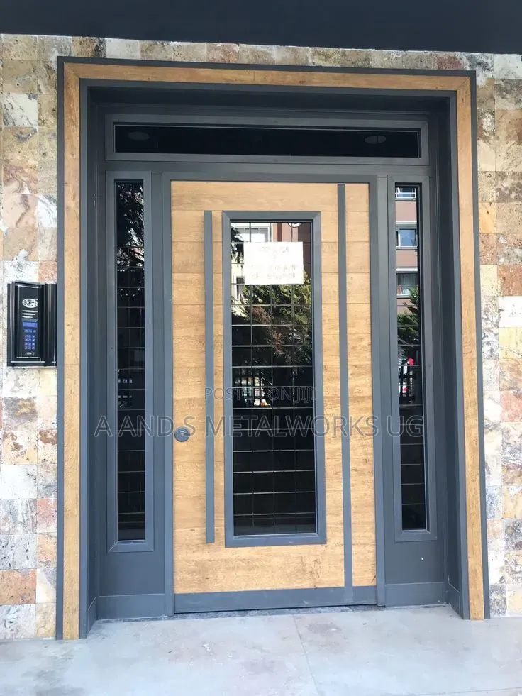 Metallic Modern Doors