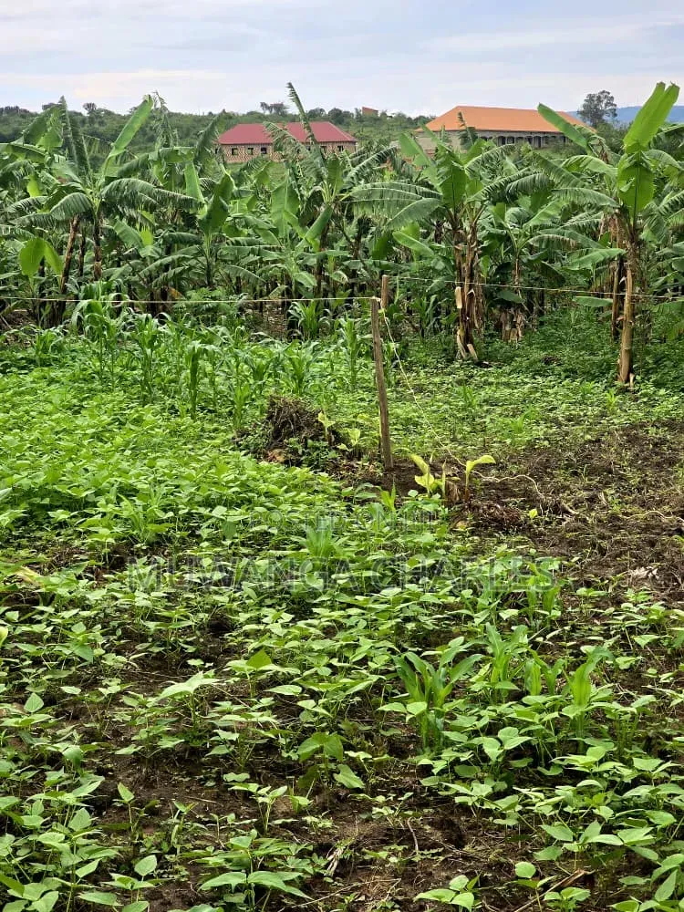 Plots on Sale at Matugga Kiwebwa