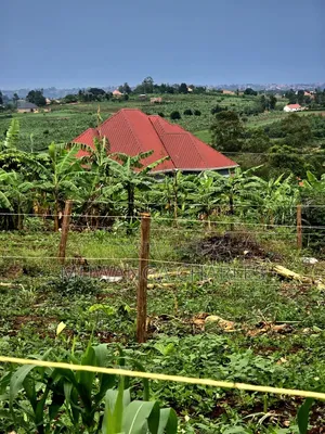 Plots on Sale at Matugga Kiwebwa