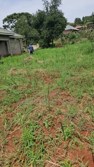 Plots Available on Sale at Matugga Sanga