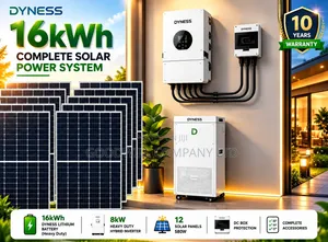 16kwh 48v Dyness Massive Clean Energy Hybrid/Lithium Solar System Kit