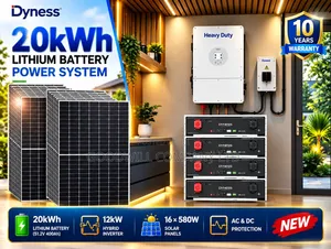 20kwh 48v Dyness Massive Clean Energy Solar System Full Kit