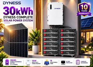 30kwh 12kva 48v Dyness Massive Clean Energy Solar System Full Kit