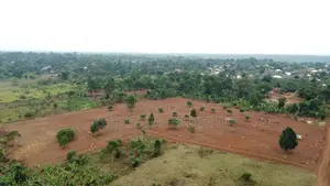 Land for Sale Gayaza Road | 50x100ft Plots | Site Visits Daily”