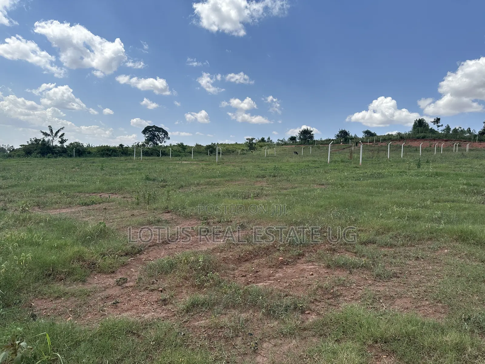 Plots for Sale in Busukuma Gayaza Road
