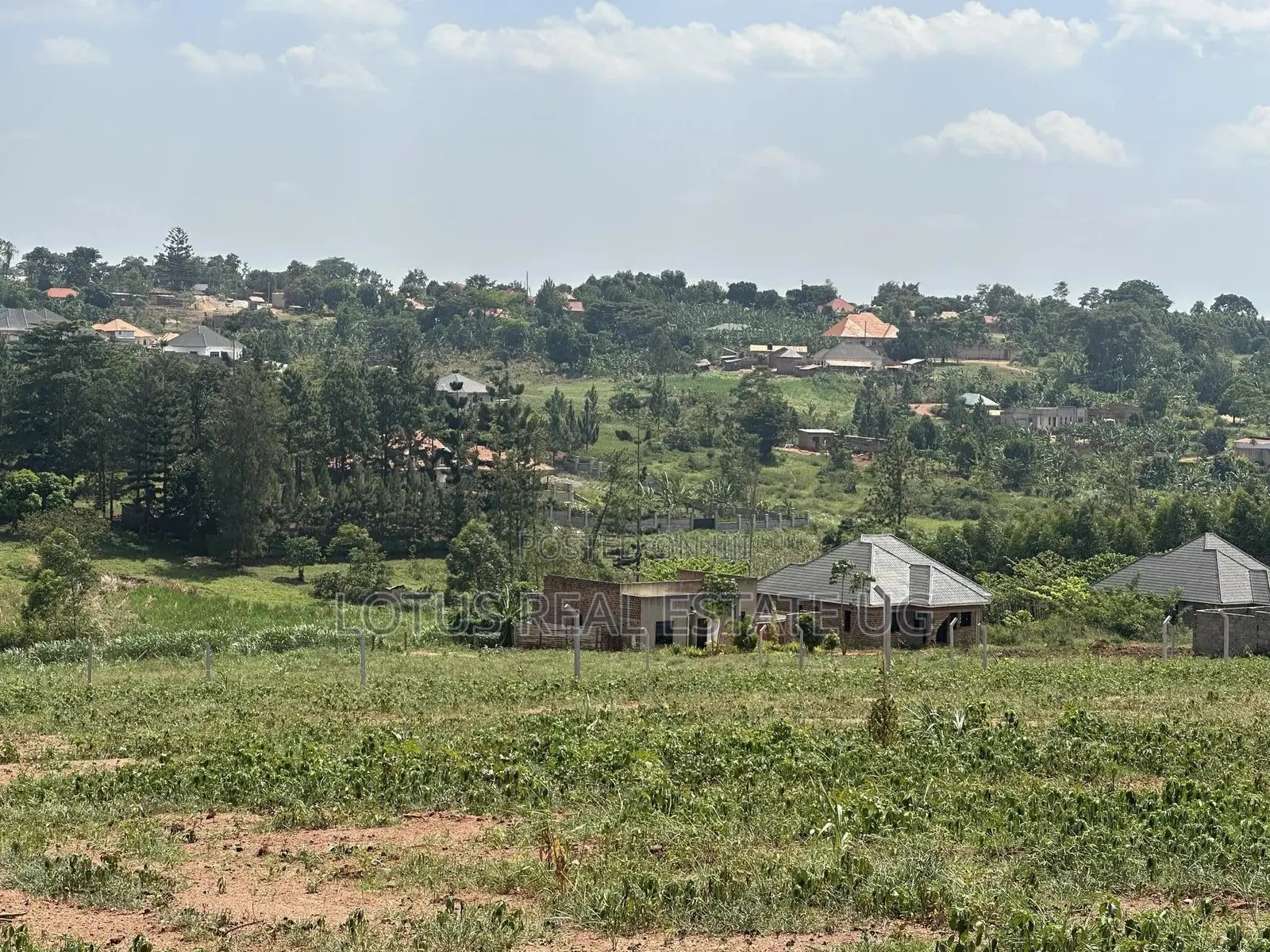 Plots for Sale in Busukuma Gayaza Road