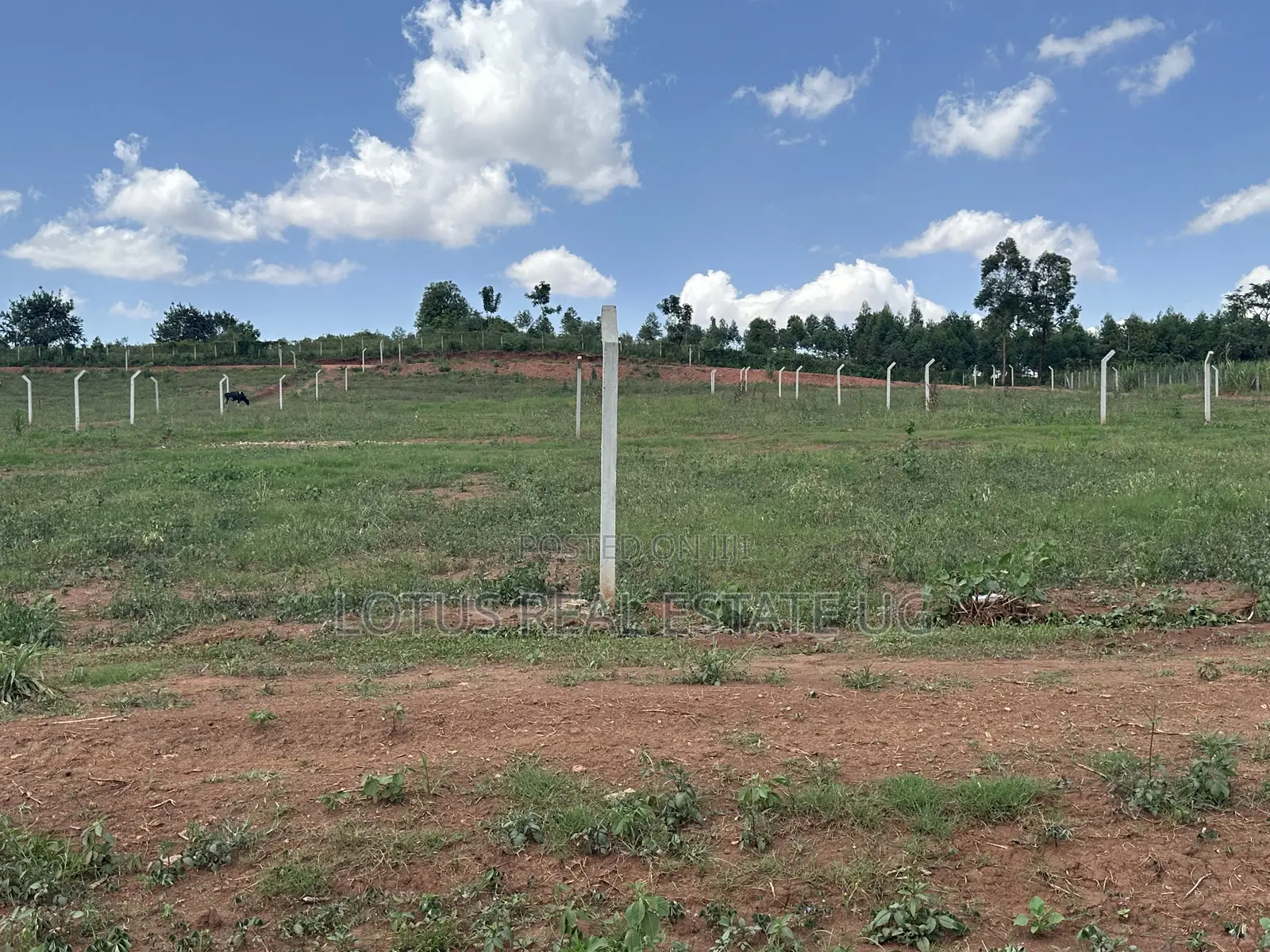 Plots for Sale in Busukuma Gayaza Road