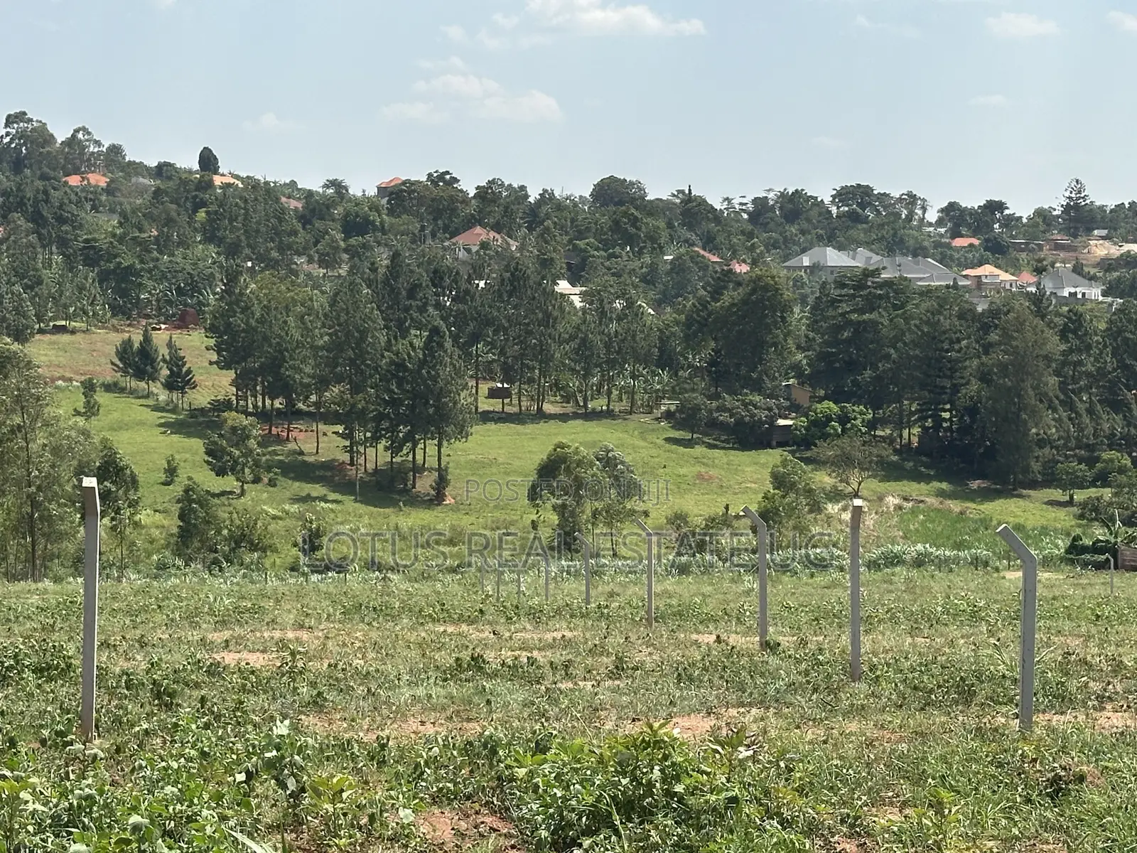Plots for Sale in Busukuma Gayaza Road