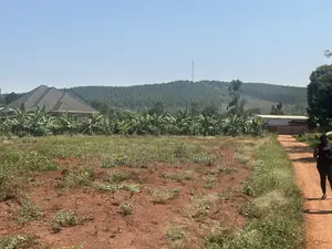 Plots for Sale in Kalagala Busika