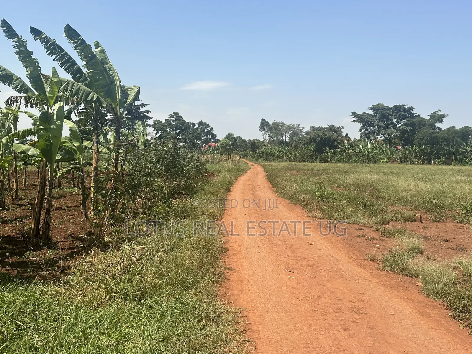 Plots for Sale in Kalagala Busika