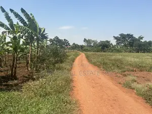 Plots for Sale in Kalagala Busika