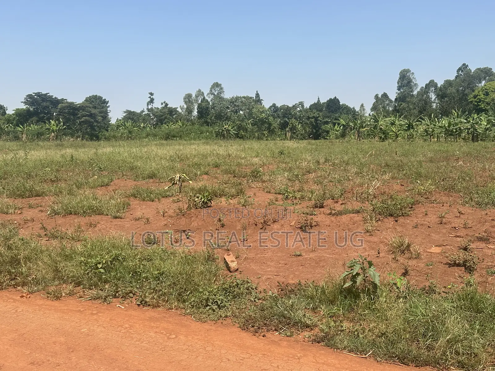 Plots for Sale in Kalagala Busika