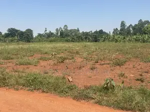 Plots for Sale in Kalagala Busika