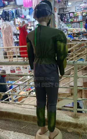 The Hulk Man