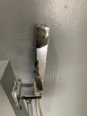 Concealed Over Head and Body Spray Shower