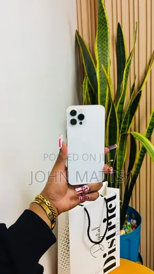 Apple iPhone 12 Pro Max 256 GB Graphite
