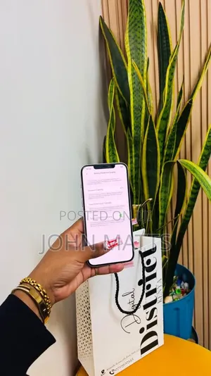 Apple iPhone 12 Pro Max 256 GB Graphite