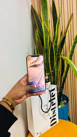 Apple iPhone 12 Pro Max 256 GB Graphite