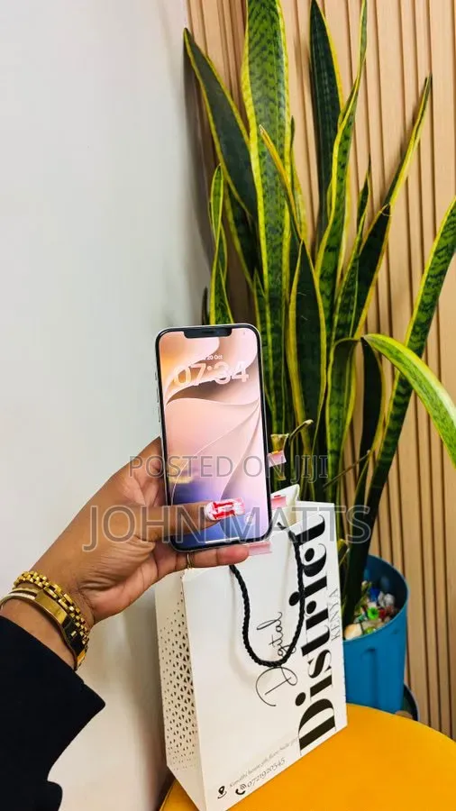 Apple iPhone 12 Pro Max 256 GB Graphite