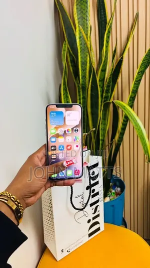 Apple iPhone 12 Pro Max 256 GB Graphite