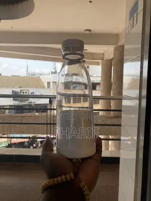 Mini Juicer