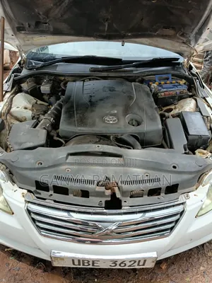 Toyota Mark X 2007 White