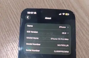 Apple iPhone 13 Pro Max 256 GB Blue