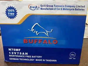 N75ah Buffalo Germany Technology