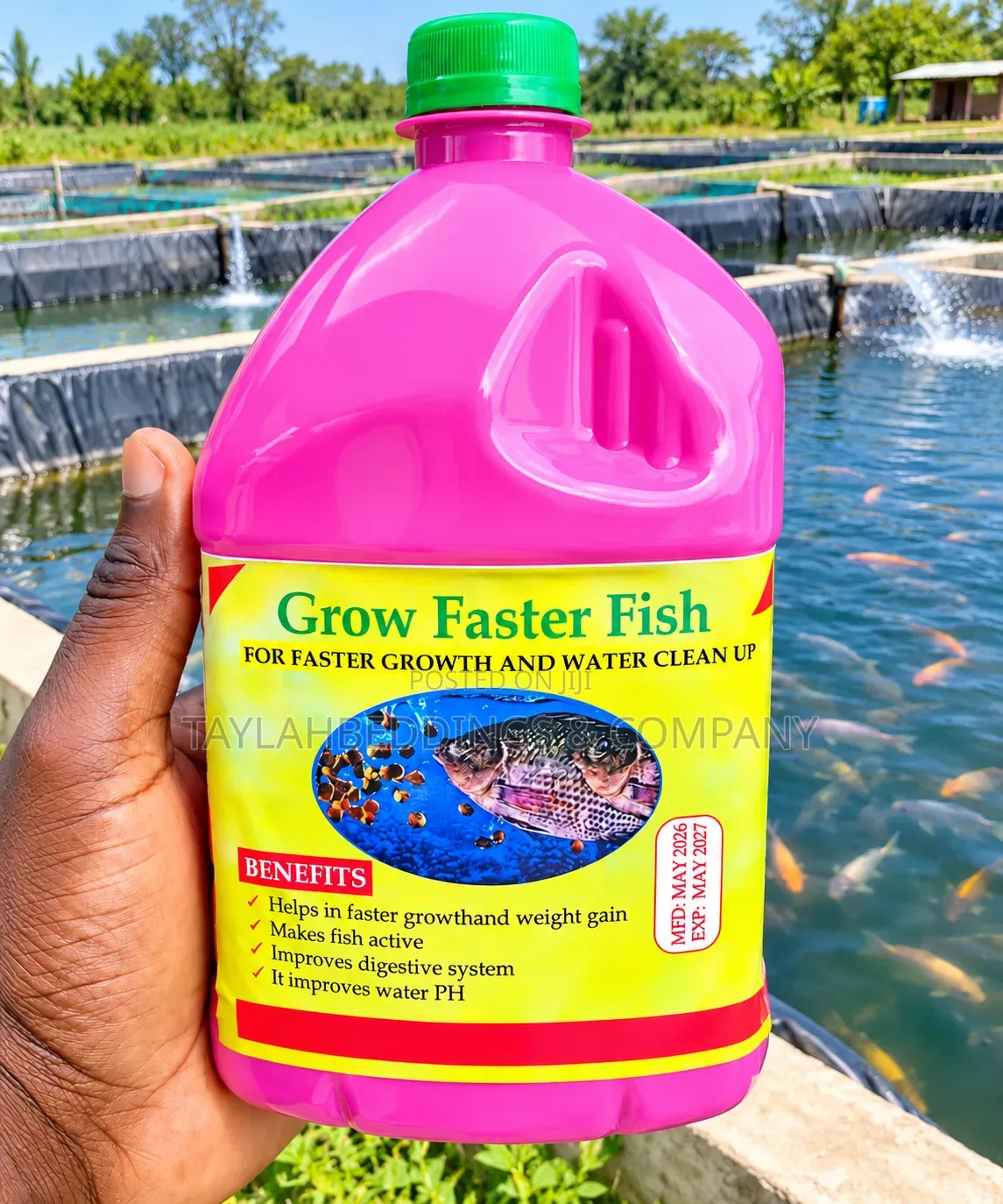 Grow Faster Fish – Fish Growth and Pond Water Conditioner