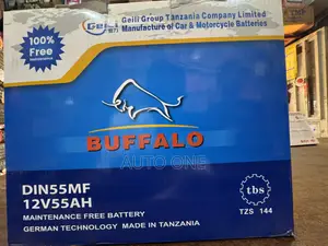 Din55mf 12v 55ah Battery Germany Technology