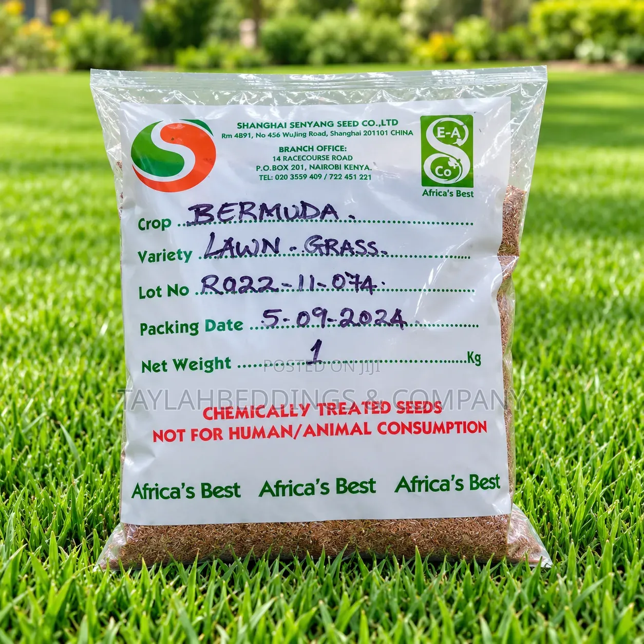 Bermuda Lawn Grass Seeds – 1kg Pack | Africa’s Best