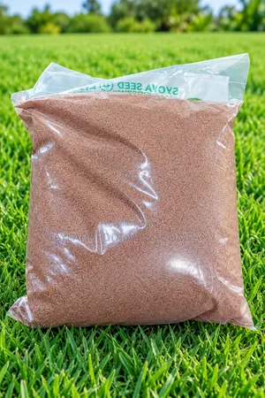 Bermuda Lawn Grass Seeds – 1kg Pack | Africa’s Best