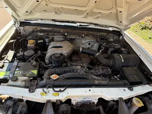 Nissan Hardbody 2011 White