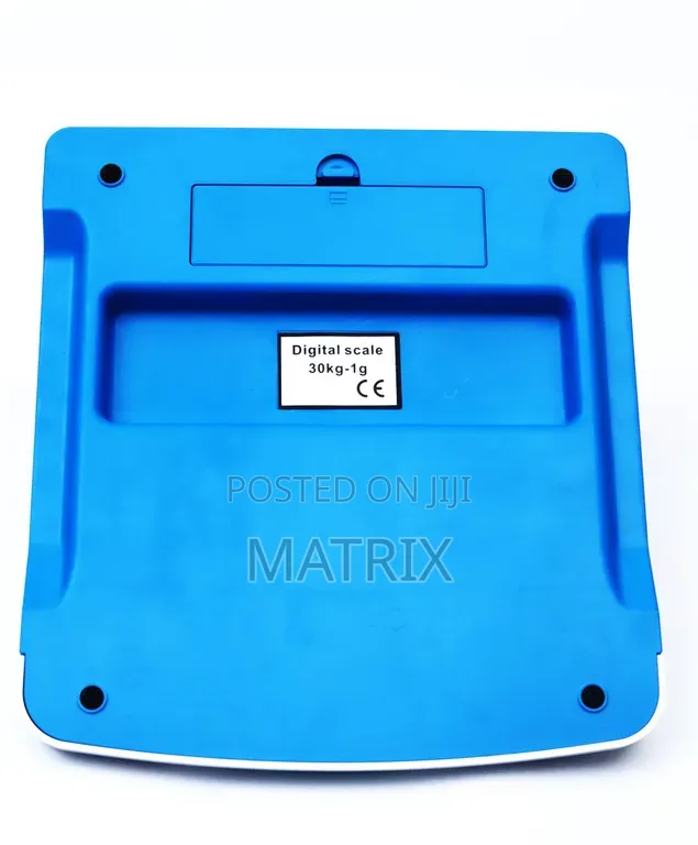 Rechargeable Digital Weighing Scale