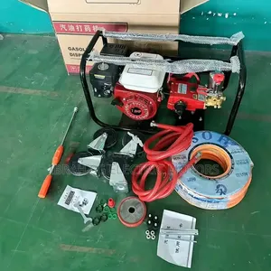 Gasoline Power Sprayer