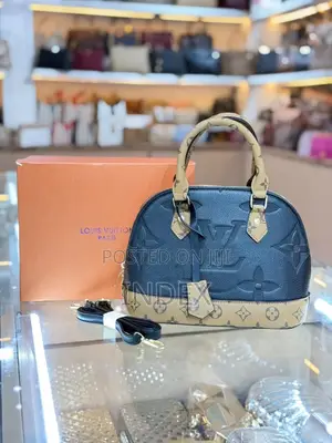 Louis Vuitton Classic Boxed Bag