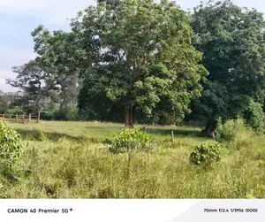 5 Acres for Sale Kasawo - Mukono - Title.