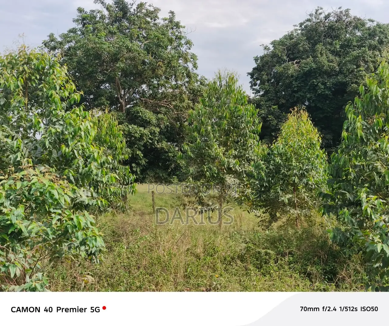 5 Acres for Sale Kasawo - Mukono - Title.