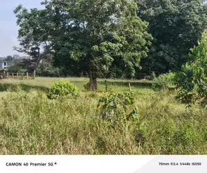5 Acres for Sale Kasawo - Mukono - Title.